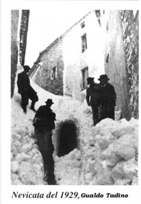 neve_1929 neve_1929