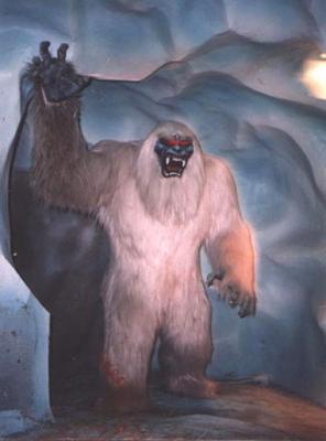 yeti