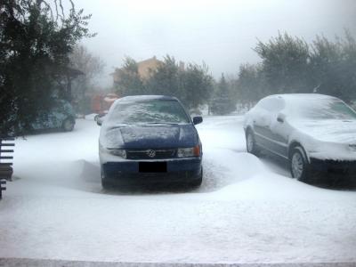 03_02_2012l_1328281263_832606