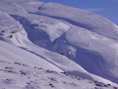 p2010022_800x600