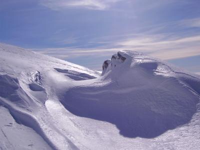 p2010031_800x600
