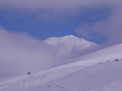 p2210003_800x600