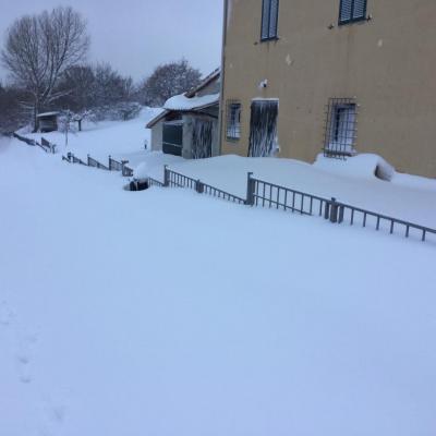 15977949_10210148423999557_164200547569385865_n