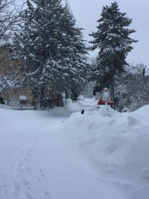 16105483_10210148427279639_692113141147850388_n