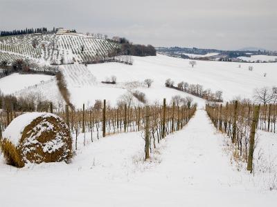 p2040519web p2040519web