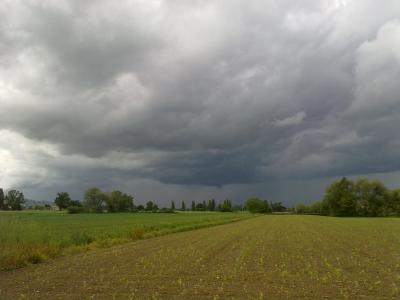 16052010021 16052010021