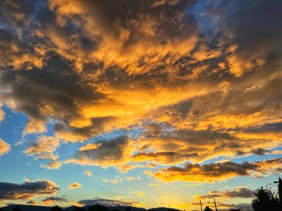 aa556891_6324_452f_8de2_99ab02dc56d5