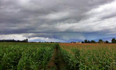 c360_2011_07_23_09_33_20