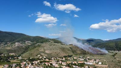 fd4e56e8_bc4d_4d26_9e9a_b174d4beb548