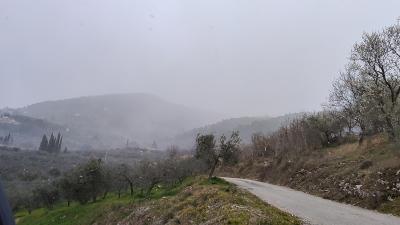 img20220308102116_01 img20220308102116_01