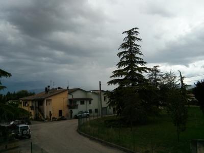 img_20130626_161853 img_20130626_161853