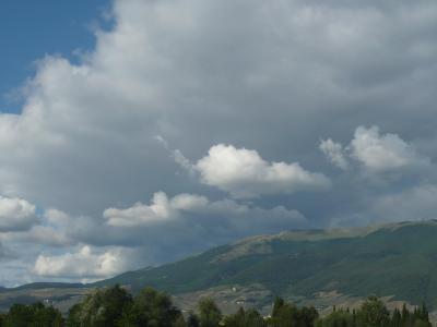 immagine_1245860384_907228