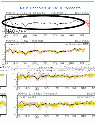 nao_sprd2_1554030473_555787