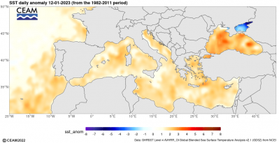 sst_ncei_daily_anomaly_latest_1673702071_654974
