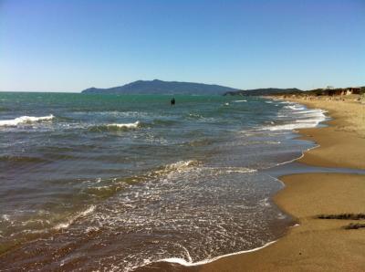 image_1365975021_330713