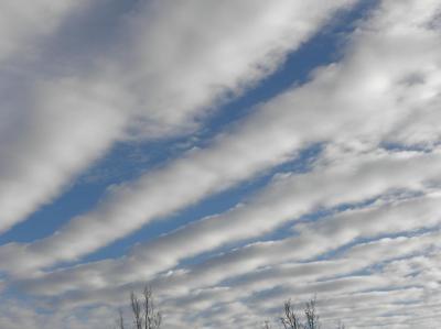 002_1293546952_199664