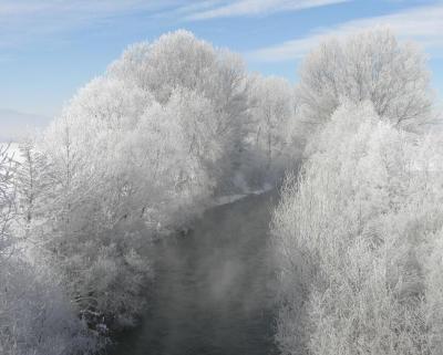 003_1293729379_943919