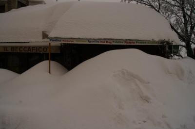 423508_2973321985239_1627474362_2657093_779280790_n