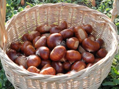 castagne castagne