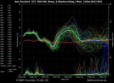 ens_image_1_1702302766_358356