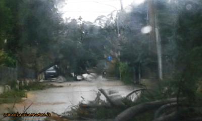 img_20150305_wa0014_1457184358_870804