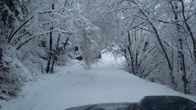 img_20181217_wa0001 img_20181217_wa0001