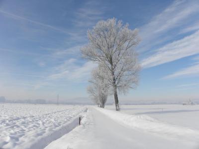 pc191788_1293716649_202138