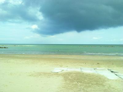 13032010021 13032010021