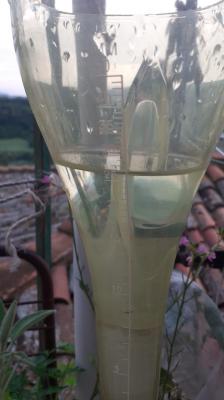 img_20230610_wa0000 img_20230610_wa0000