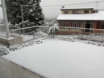 923dc57b_f922_45b2_98d4_bf65d395c705