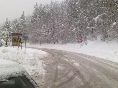 23012011006 23012011006