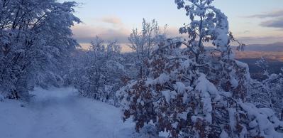 20201227_160411 20201227_160411