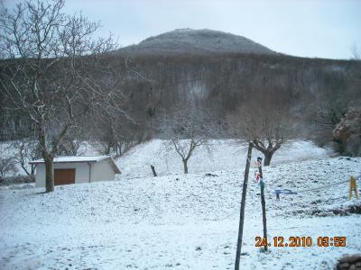 dscn0338_1294503769_672030 dscn0338_1294503769_672030