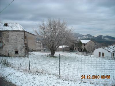 dscn0342_1294503921_381049 dscn0342_1294503921_381049