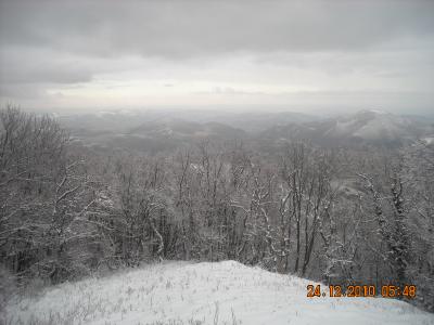 dscn0408_1294504269_238543 dscn0408_1294504269_238543