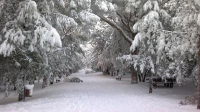 01022012047_1328126060_532922