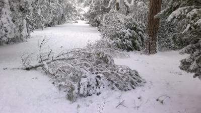 01022012048_1328126076_424244