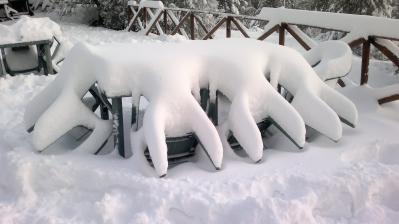 01022012049_1328126088_171146