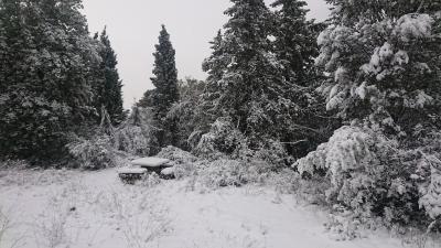 img_20210213_wa0057
