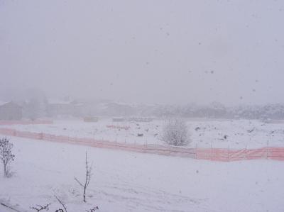 photo1_1292418116_610282