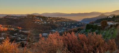 20201214_100116 20201214_100116