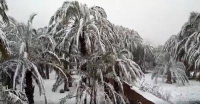 neve_in_marocco_a_zagora_valle_del_draa_3bmeteo_81949