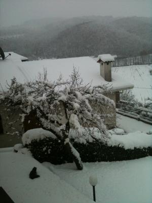 img_0491_1328127272_677272