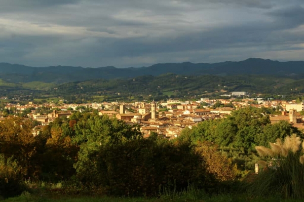 Immagine Whatsapp 2025-10-05 Ore 22.37.31 Dd8055f4 Immagine Whatsapp 2025-10-05 Ore 22.37.31 Dd8055f4