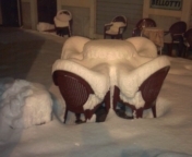 La dama a sedere La dama a sedere