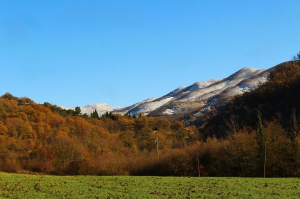 La Valle Del Regnano. La Valle Del Regnano.