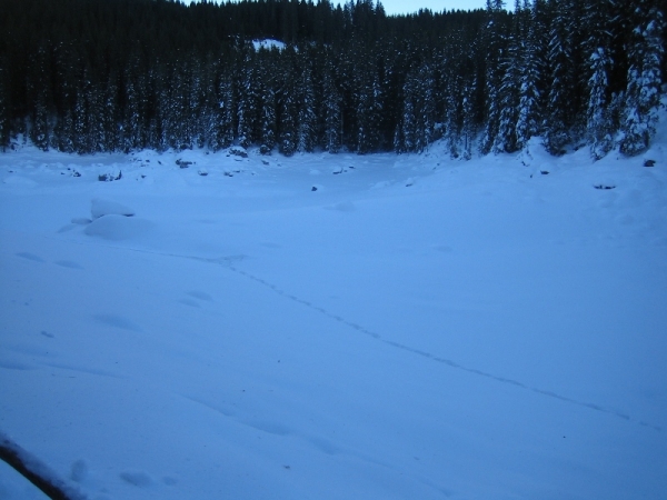 Lago Di Carezza Ghiacciato