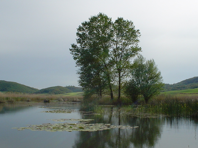 Lago di Colfiorito