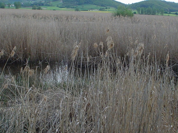 Lago di Colfiorito