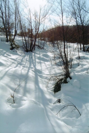 M.subasio Vers.ne  Marzo 2005 M.subasio Vers.ne  Marzo 2005